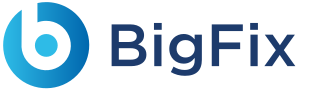 BigFix Logo